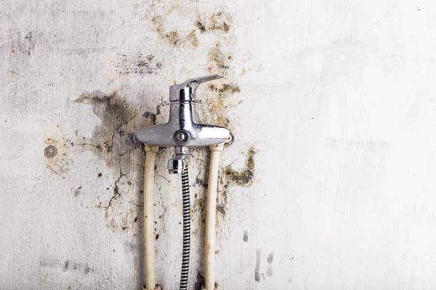 Best Water Damage Restoration  in Elsmere, KY